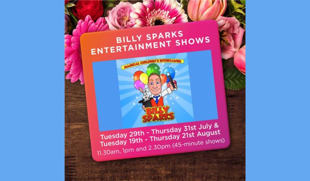 Billy Sparks Entertainment Shows