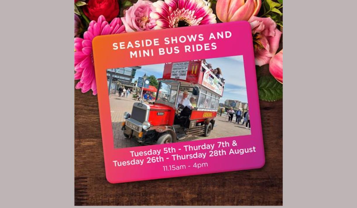 Seaside Shows and Mini Bus Rides