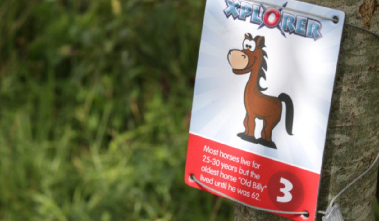 Summer Xplorer at Brockholes