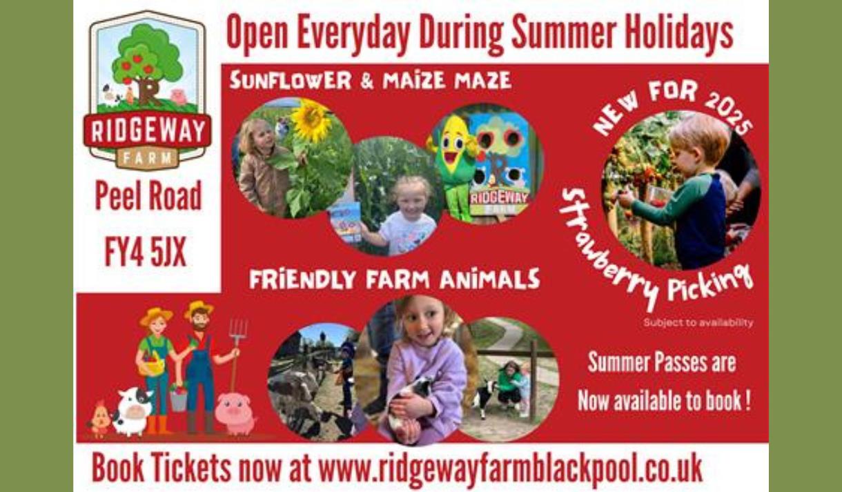 Summer Fun on the Farm with Maize Maze