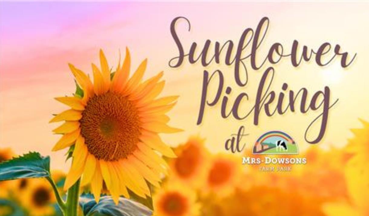 General Admission and Sunflower Picking