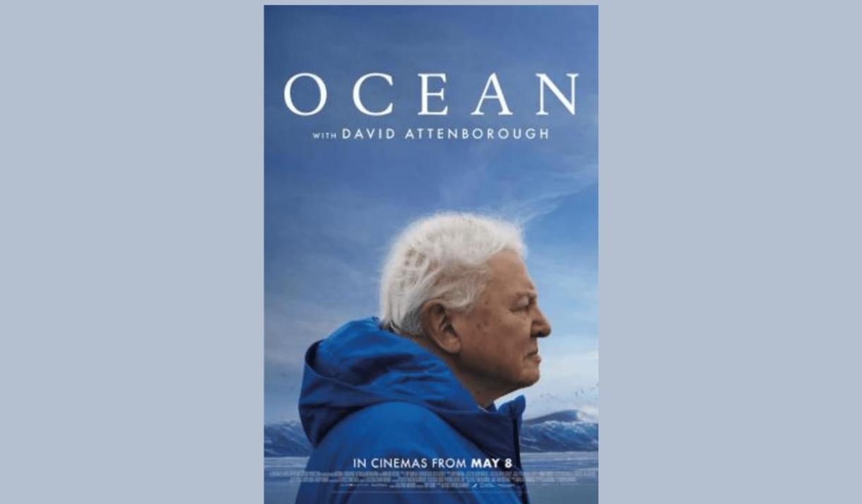 Film Club: David Attenborough, Ocean