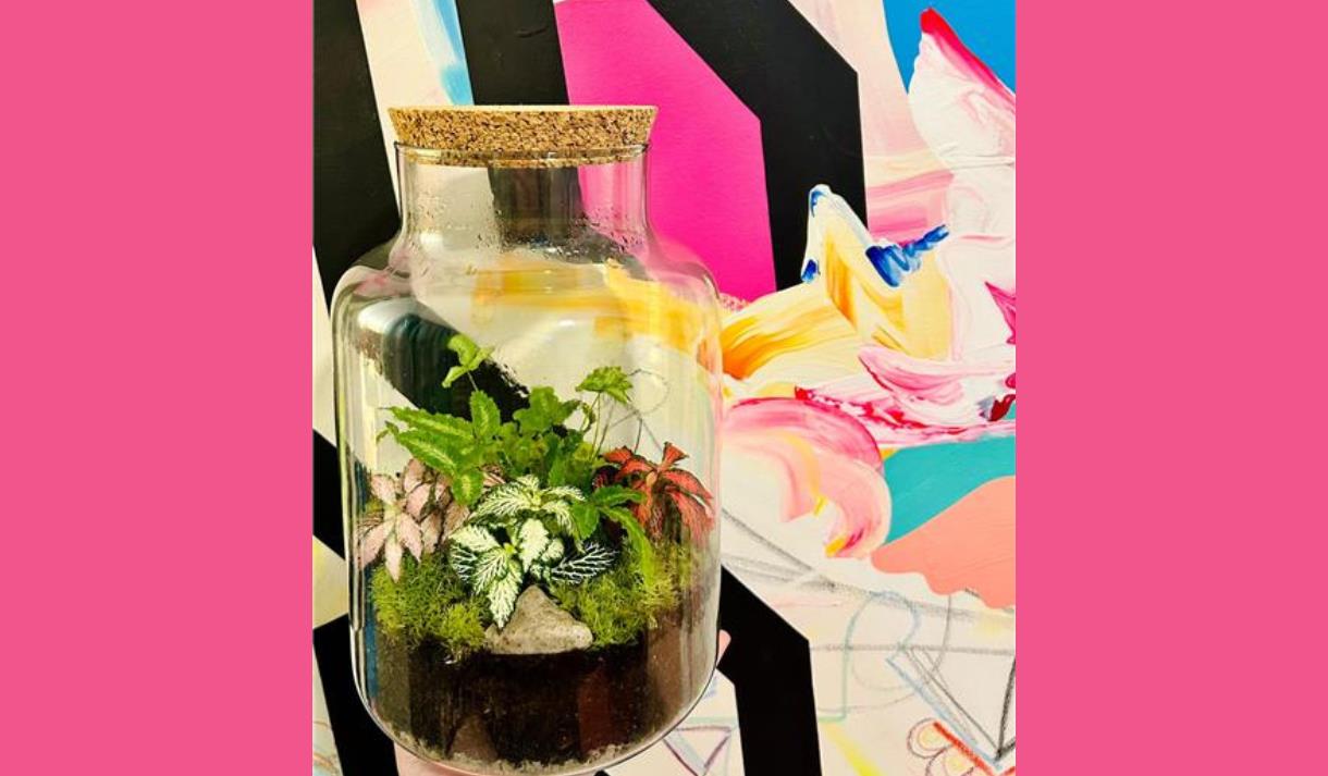 Corked Jar Terrarium at Holden Clough (14 years plus)