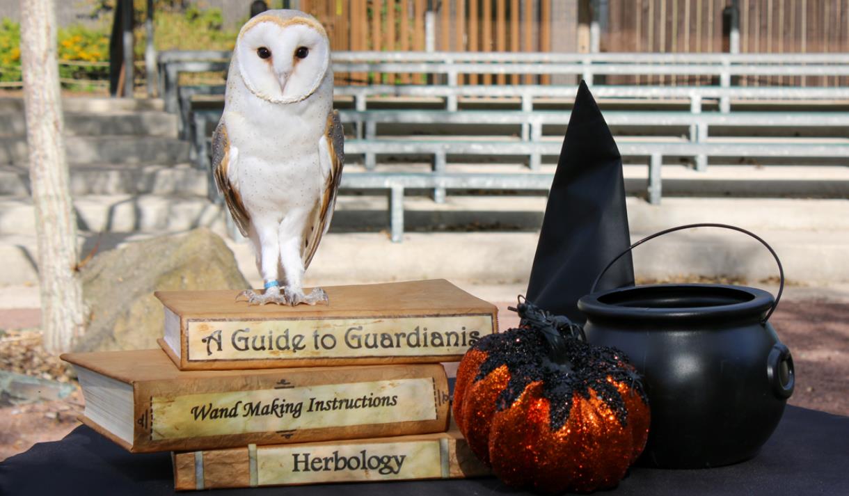 Blackpool Zoo's Wizarding Wildlife School