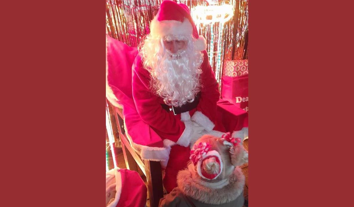 Christmas Fair at World Horse Welfare Penny Farm