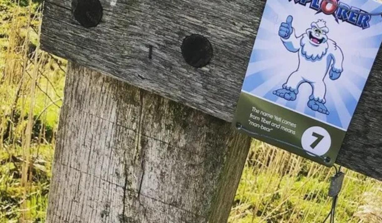 Winter Xplorer at Mere Sands Wood