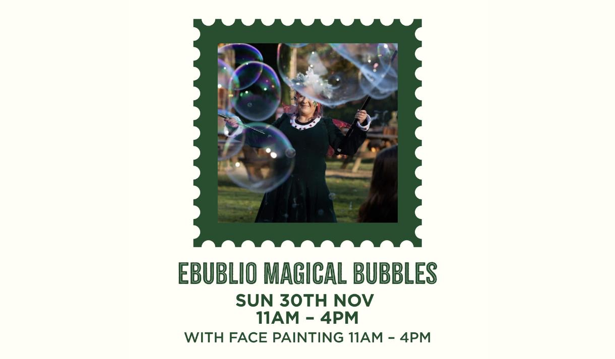 Ebublio Magical Bubbles Shows with Free Face Painting