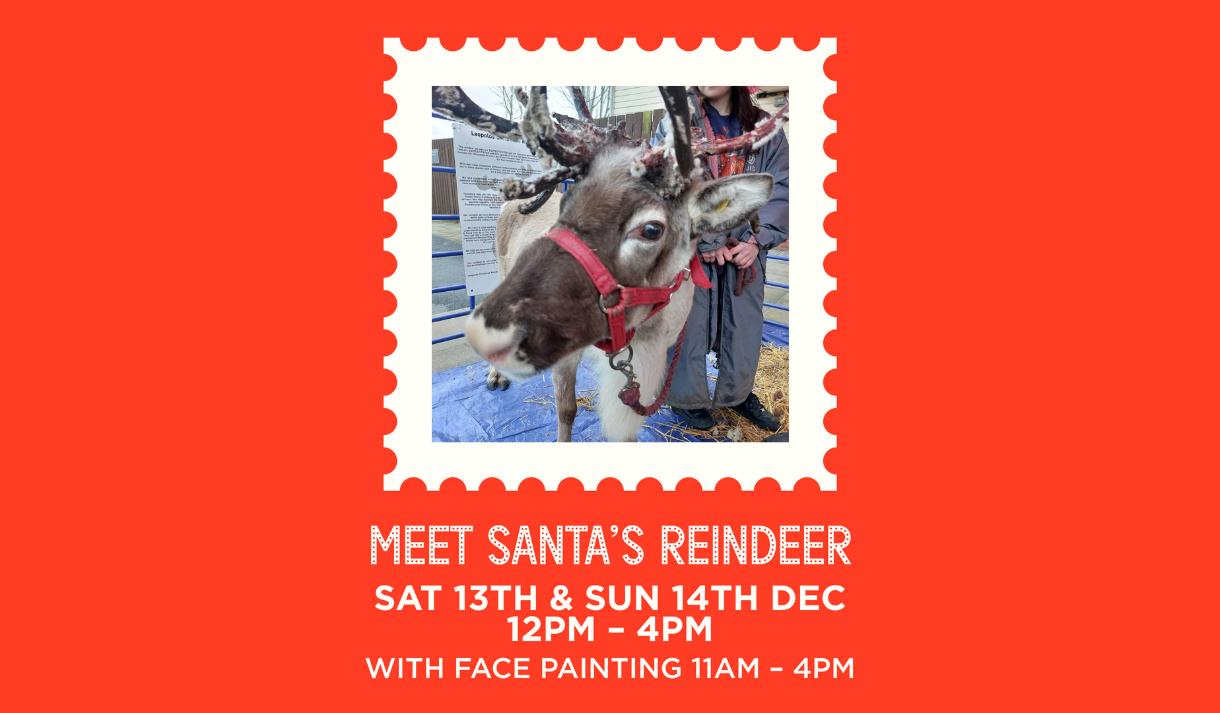 Meet Santa's Reindeer
