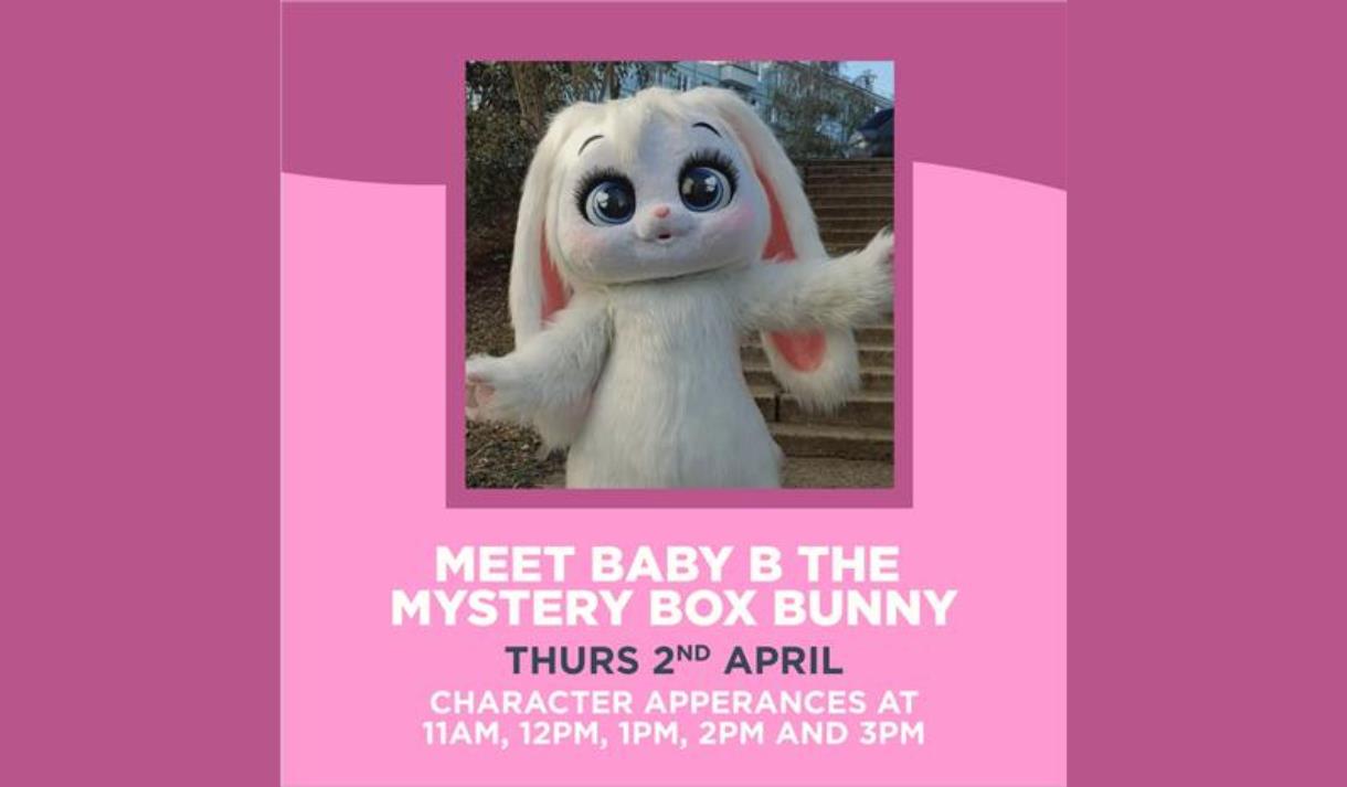 Meet Baby B the Mystery Box Bunny