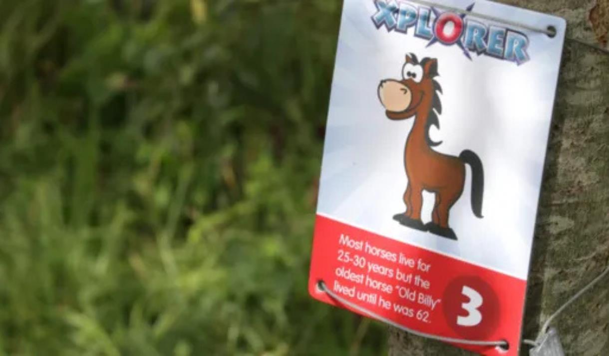 Easter Xplorer at Brockholes