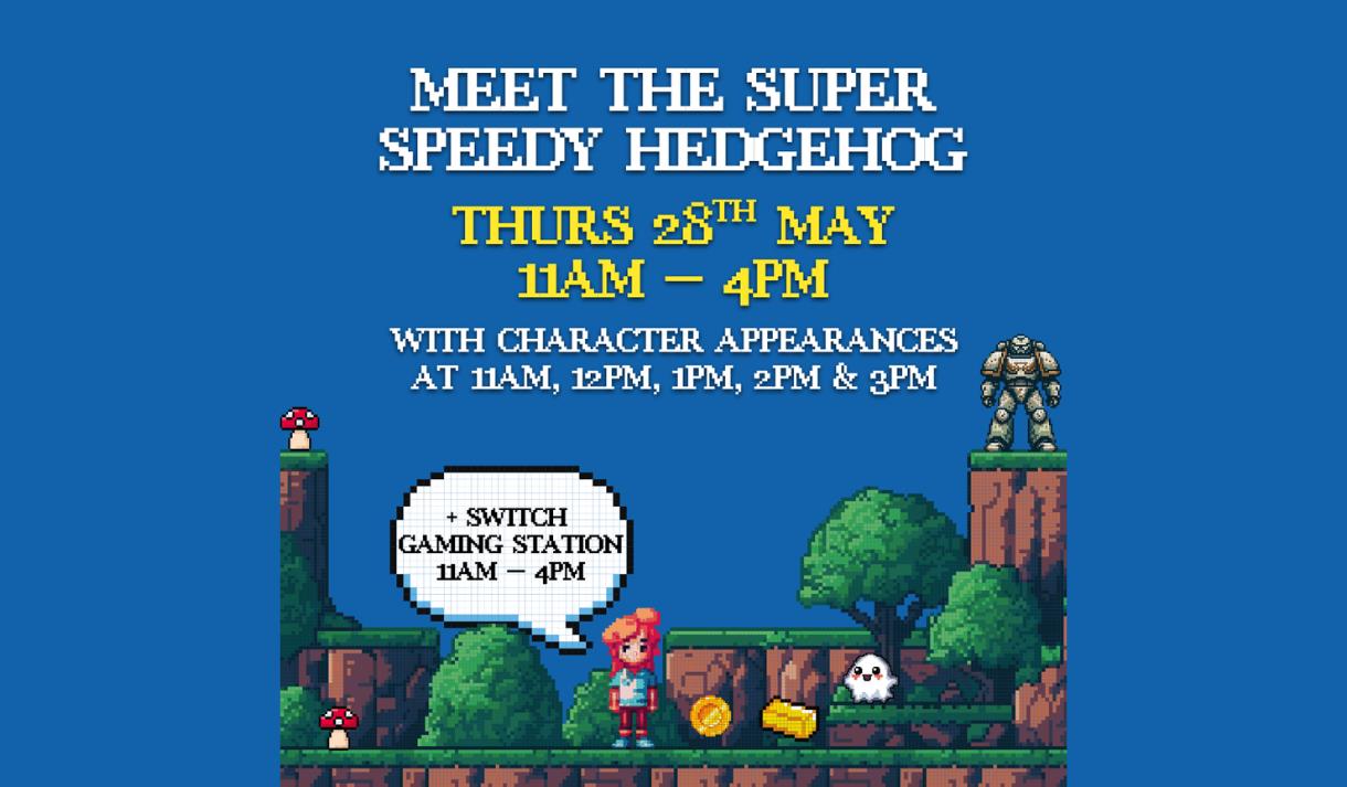 Meet the Sonic the Hedgehog with Switch Gaming Station