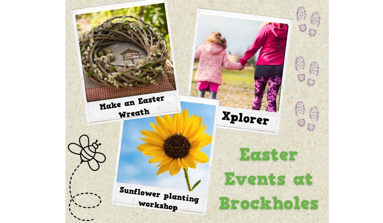 Sunflower Planting Workshop