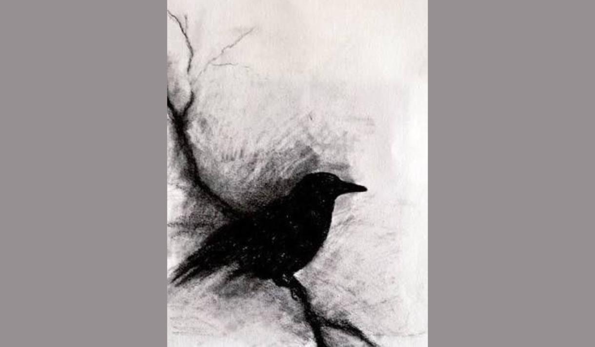 Introduction to Charcoal Drawing at The Whitaker