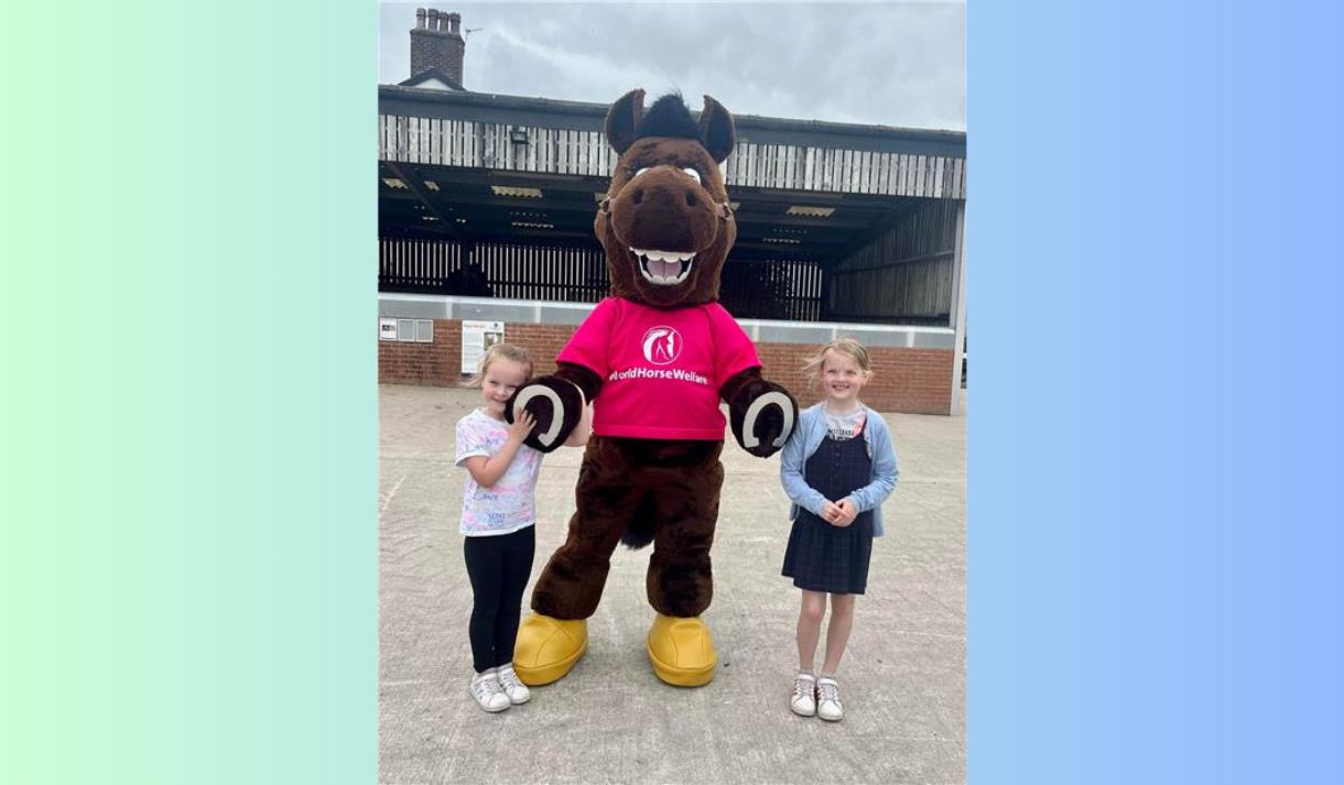 Penny Farm Summer Fair