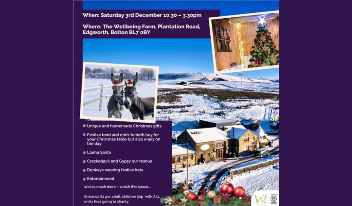 The Wellbeing Farm MAD and Ethical Christmas Fair