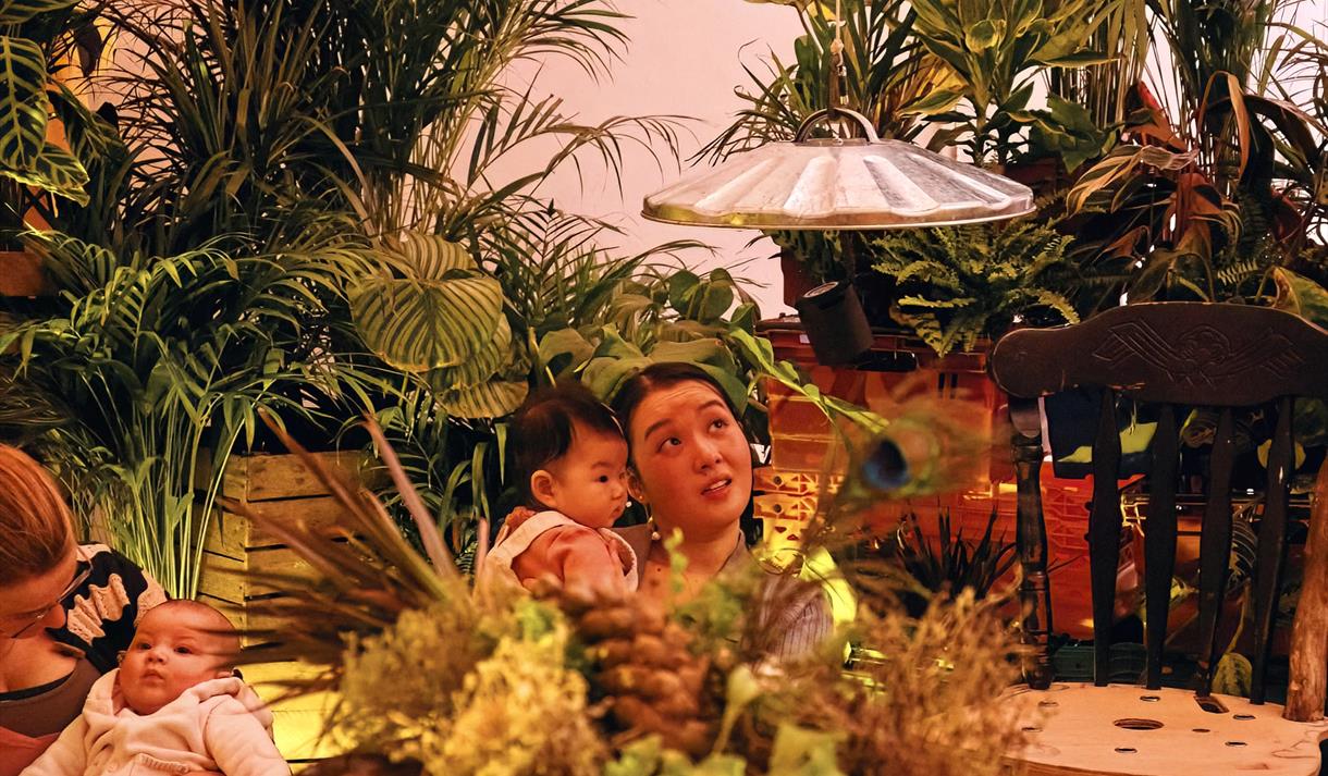 Family Theatre : Great Big Tiny World