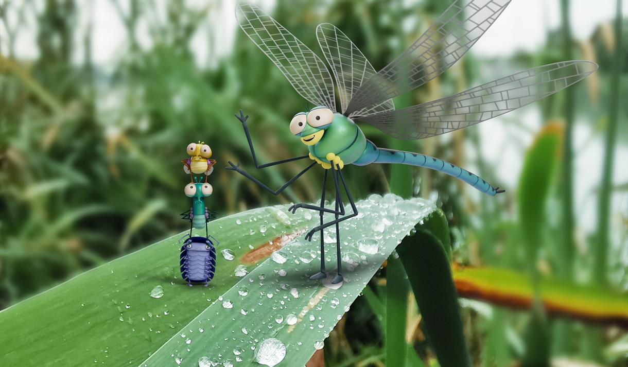 Aardman presents Lloyd of the Flies Wetland Bug Hunt