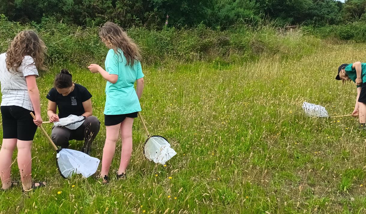 Wildlife Watch Group at Heysham Nature Reserve