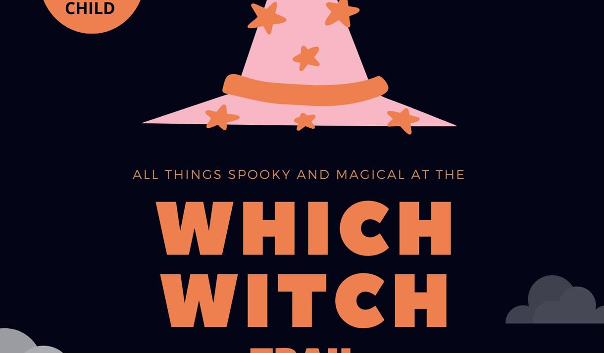 Which Witch Trail