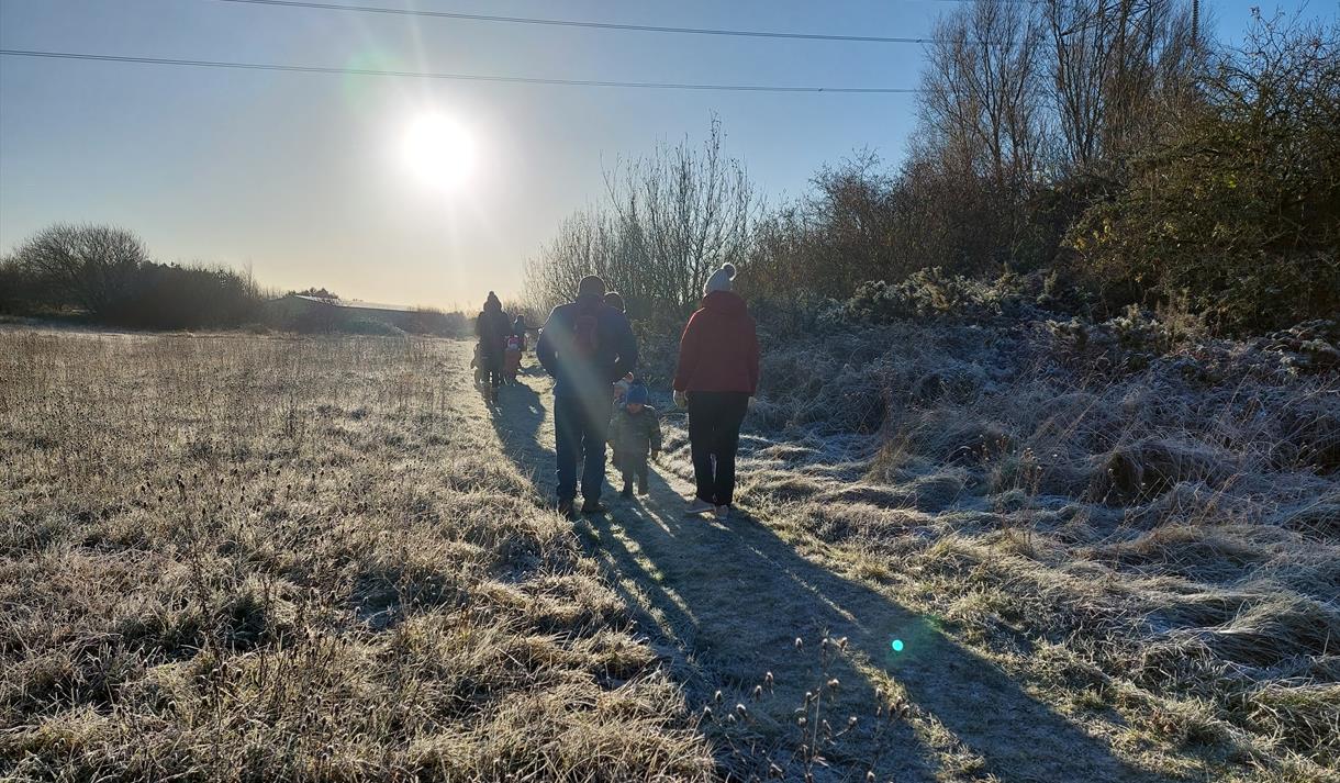 Wild Winter Walk Activity at Heysham Nature Reserve