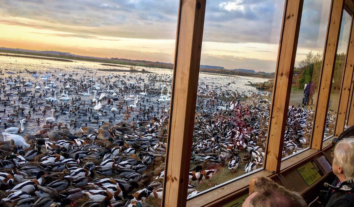 North West Bird Watching Festival 2025