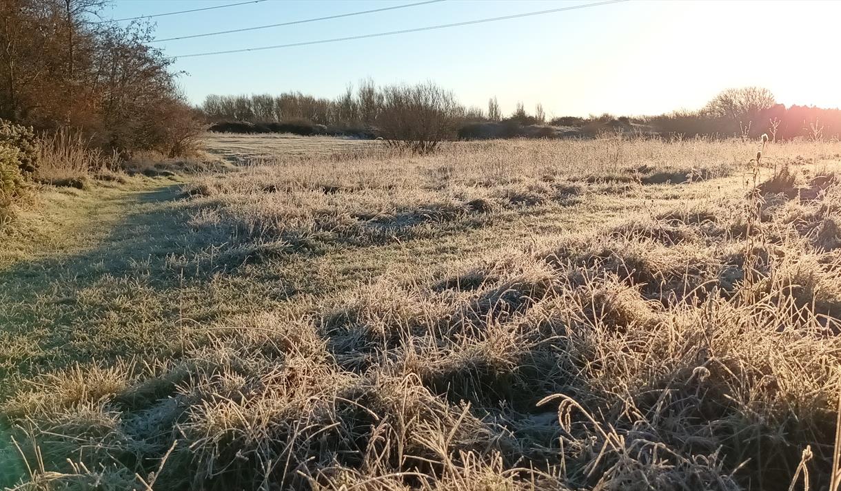 Winter Sounds Trail at Heysham Nature Reserve