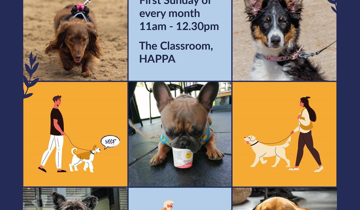 FREE Monthly Dog Socialisation Group