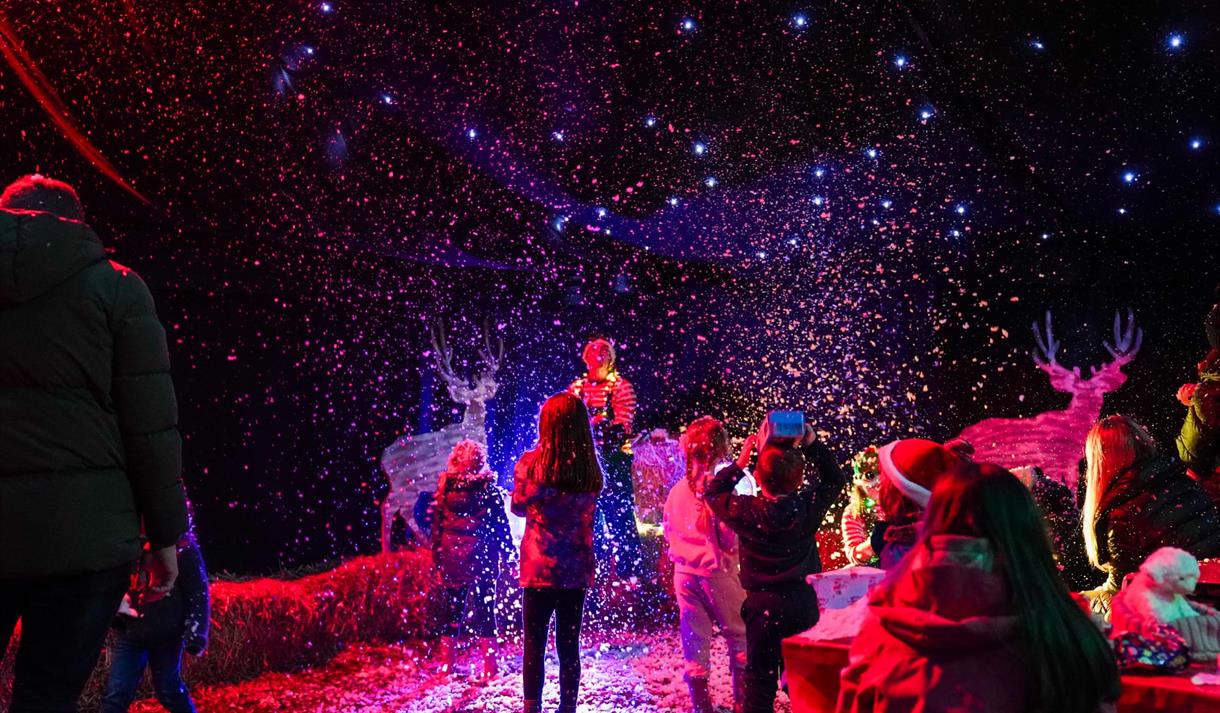 Santa Train Event at Windmill Animal Farm