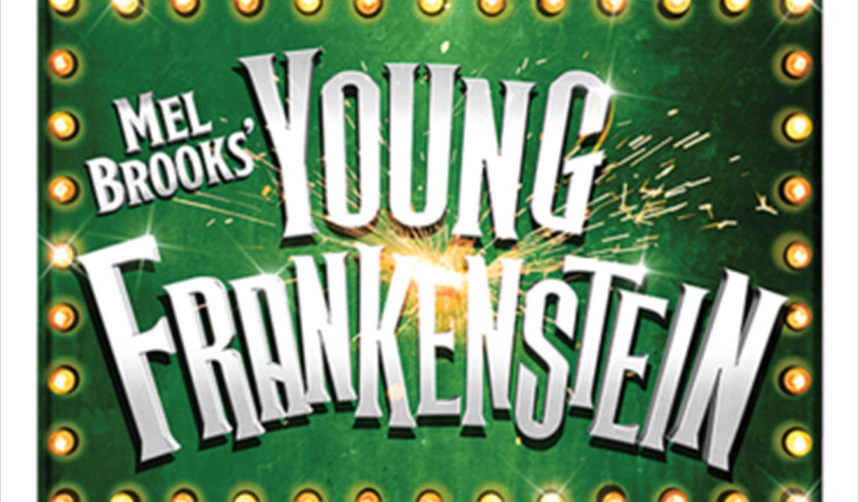 young frankenstein logo