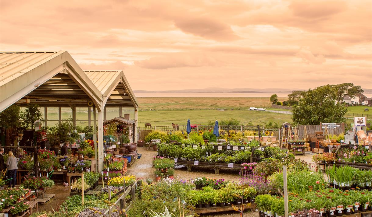 Bay View Garden Centre