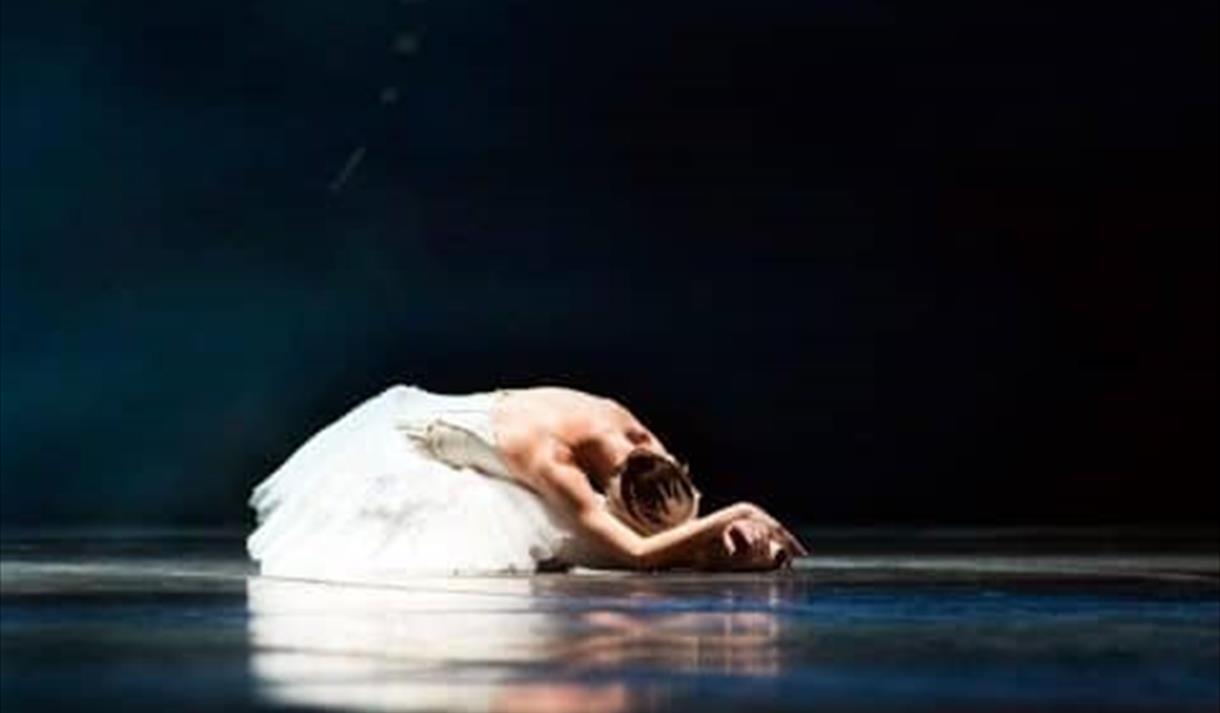 Crown Ballet: Swan Lake