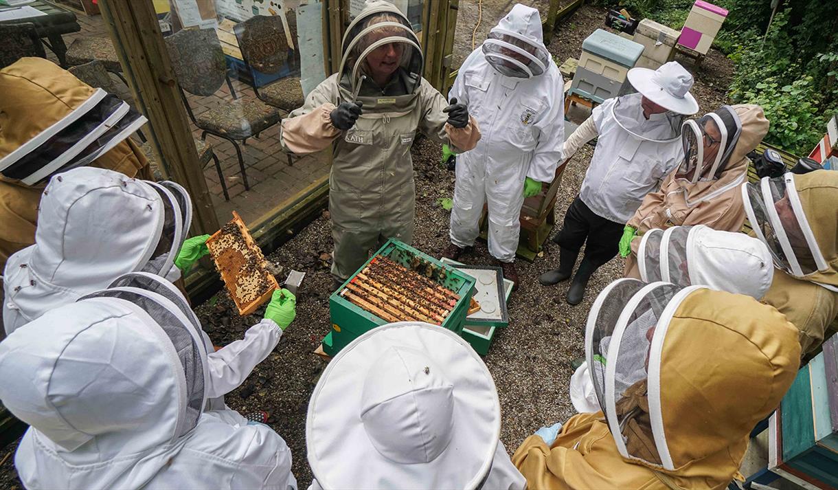 Bee Centre