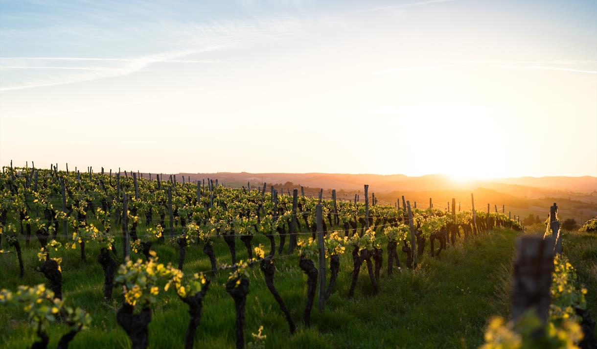 WORLD OF WINE - Explore Spain & Portugal (Preston)