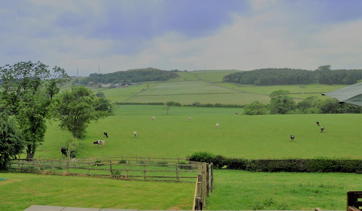 Lodge View Cottages