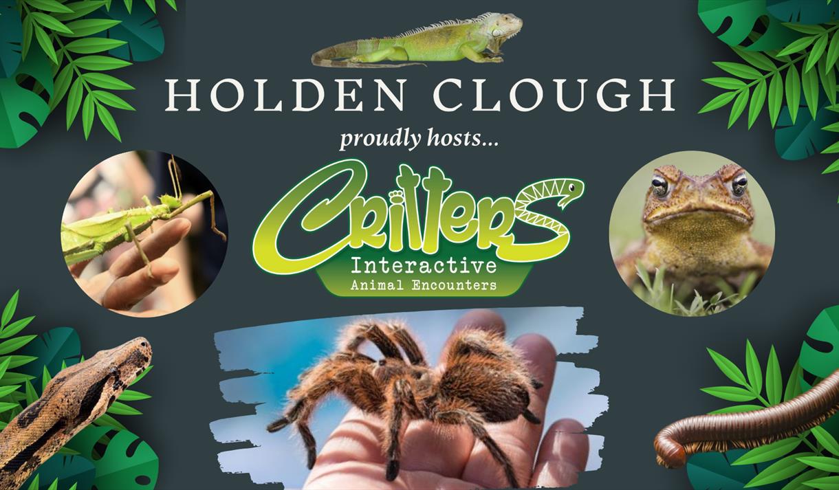 Reptile & Critter Interactive Encounter at Hough Clough Nurseries