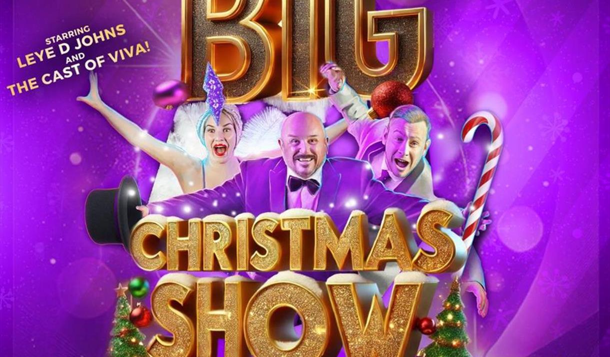 Viva's Big Christmas Show Night Out