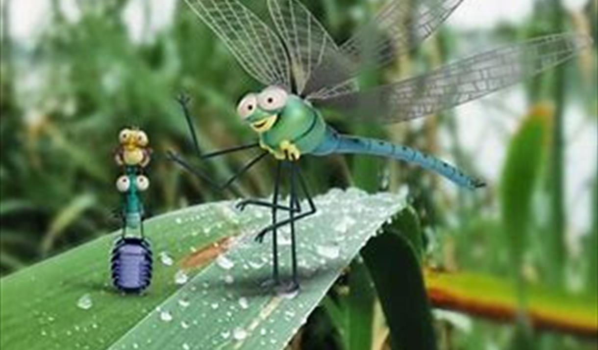 Aardman presents Lloyd of the Flies Wetland Bug Hunt