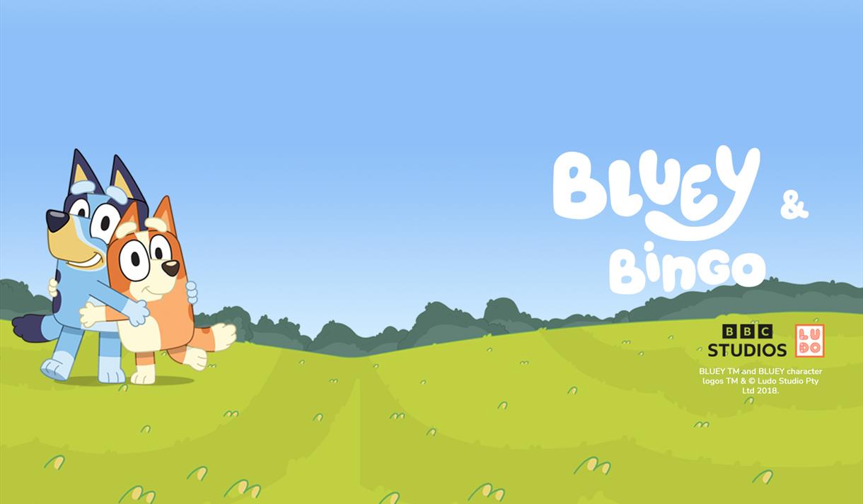 Bluey and Bingo