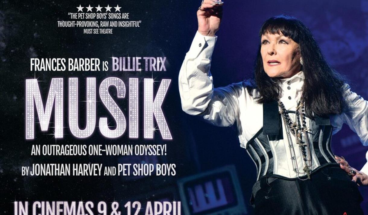 MUSIK (15+) at the Cinema