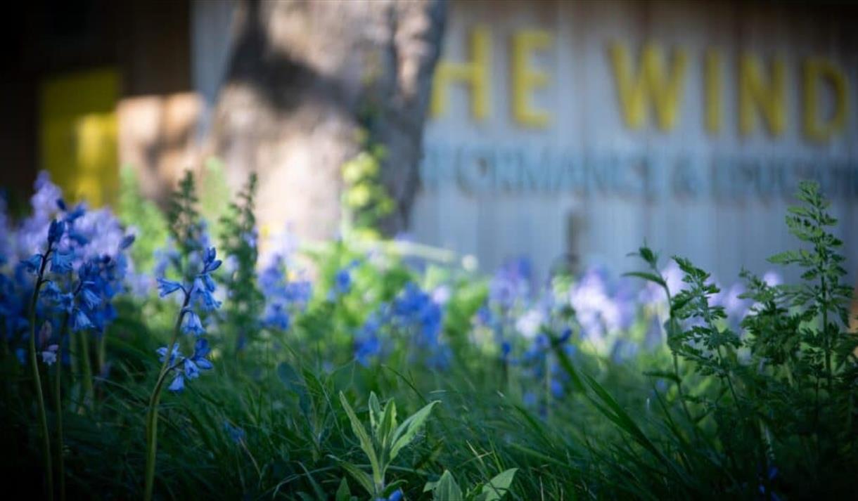 Photography Workshop at Lowther Pavilion