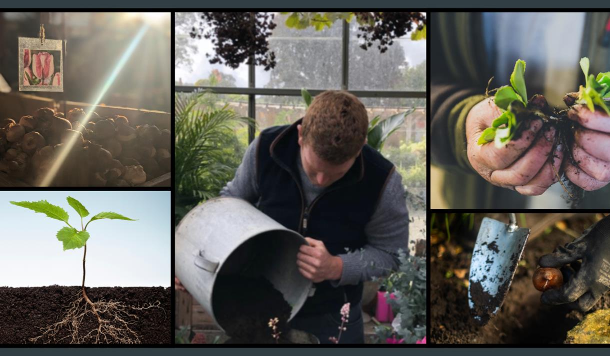 The Winter Garden with John Foley at Holden Clough