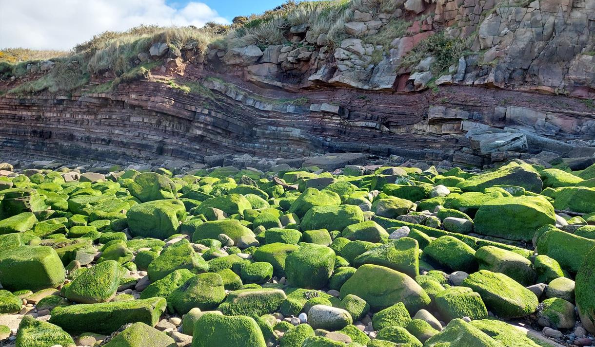 Family Geology Walk from Half Moon Bay