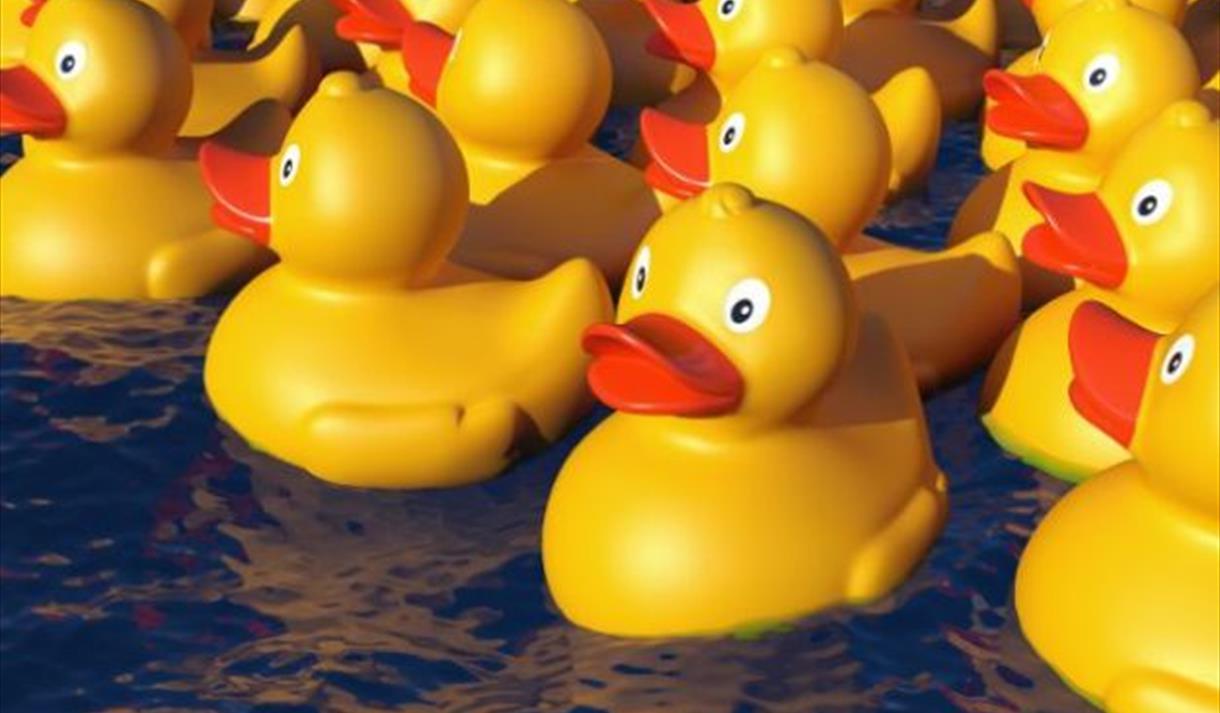 The Great Ribby Duck Race At Ribby Hall Village