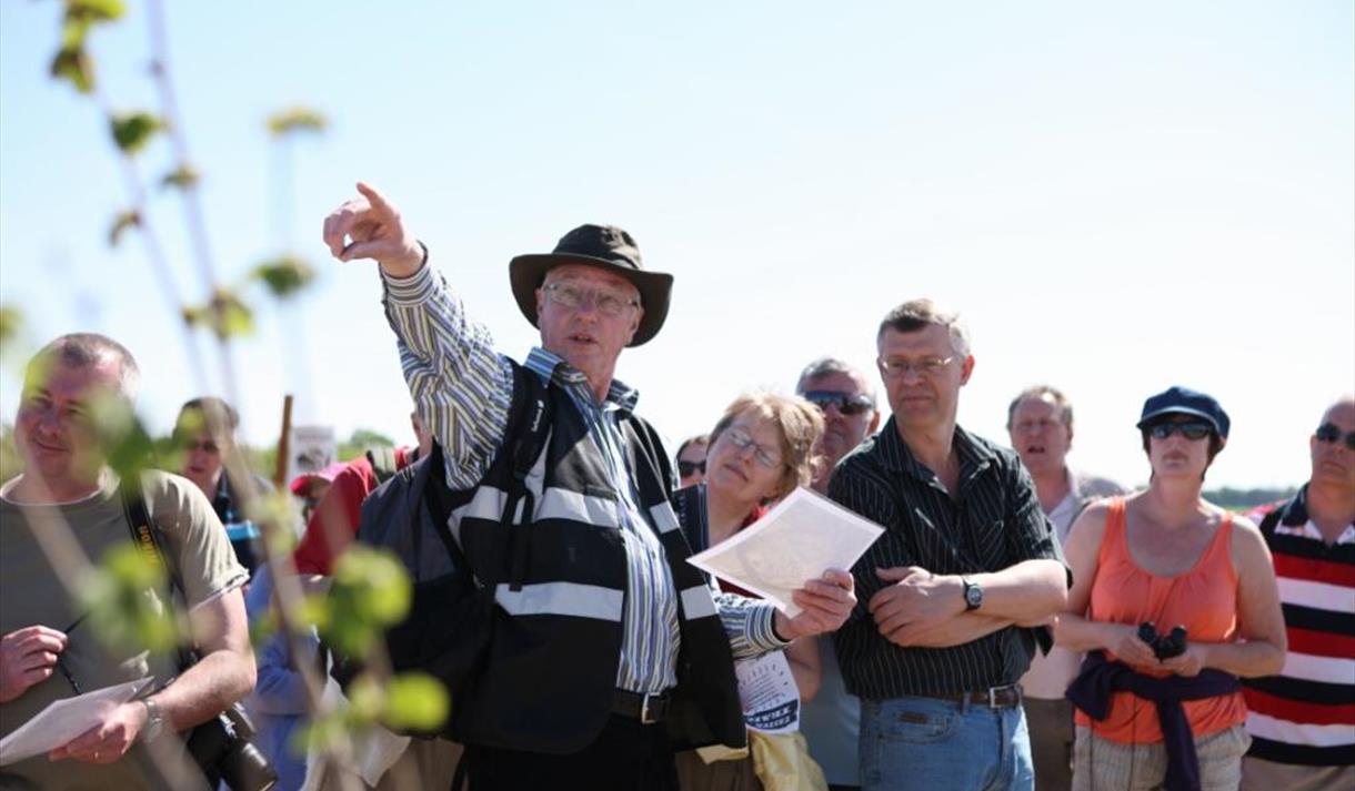 A Wildflower Year Guided Walk at Brockholes