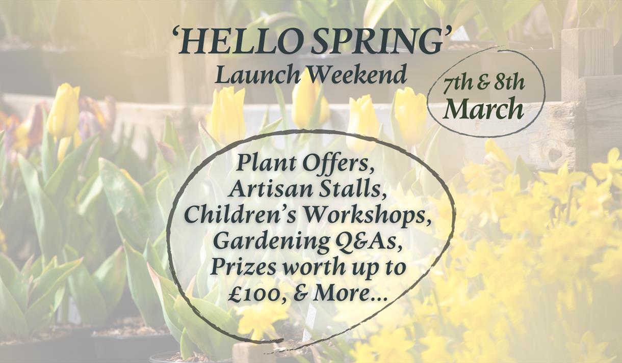 Spring Launch Weekend - Holden Clough Nurseries