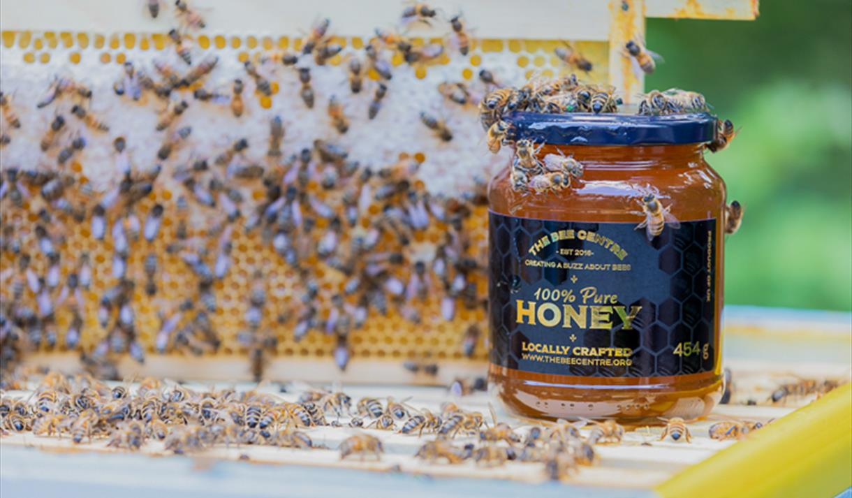 The Bee Centre - Christmas Fair