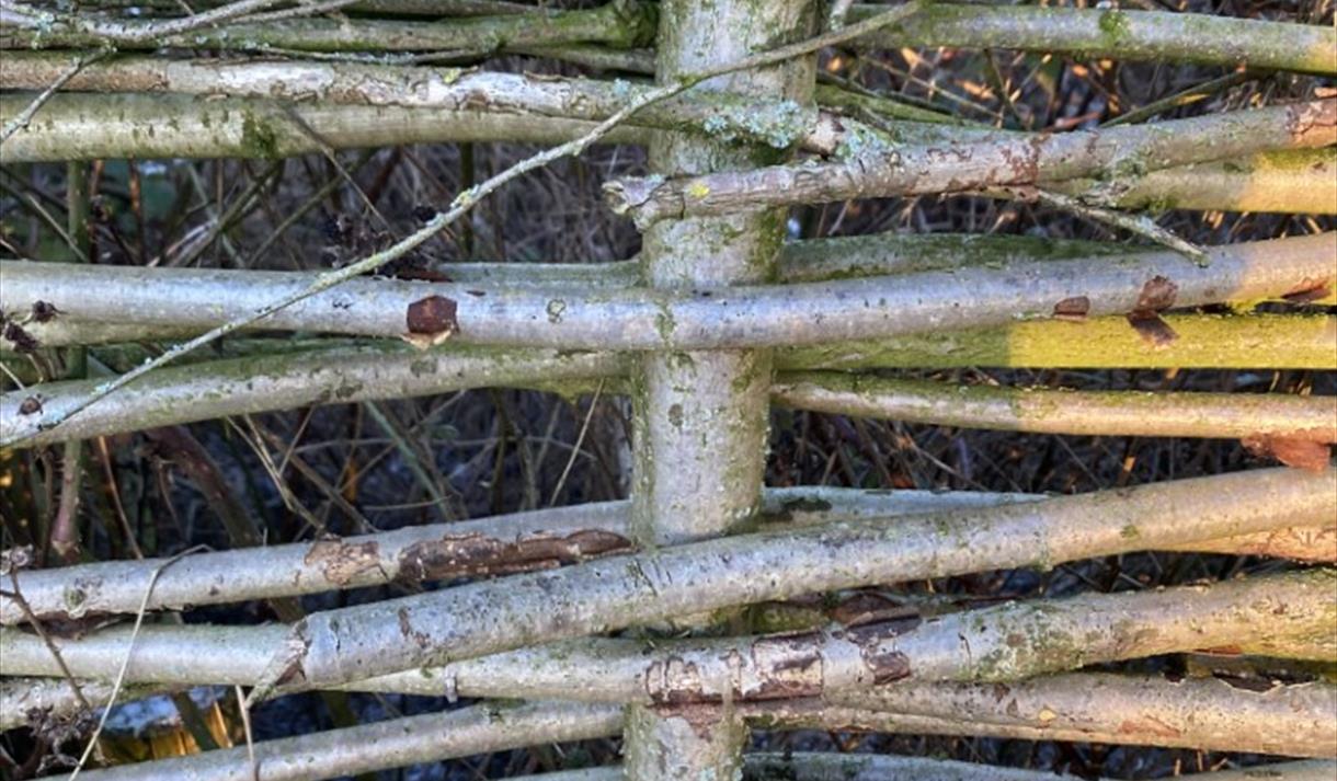Coppice Crafts: Hurdle Making Wild Workshop