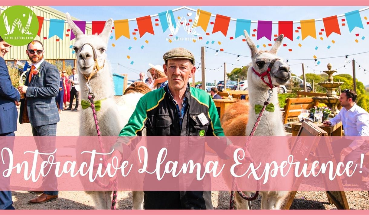 Llama Trekking poster