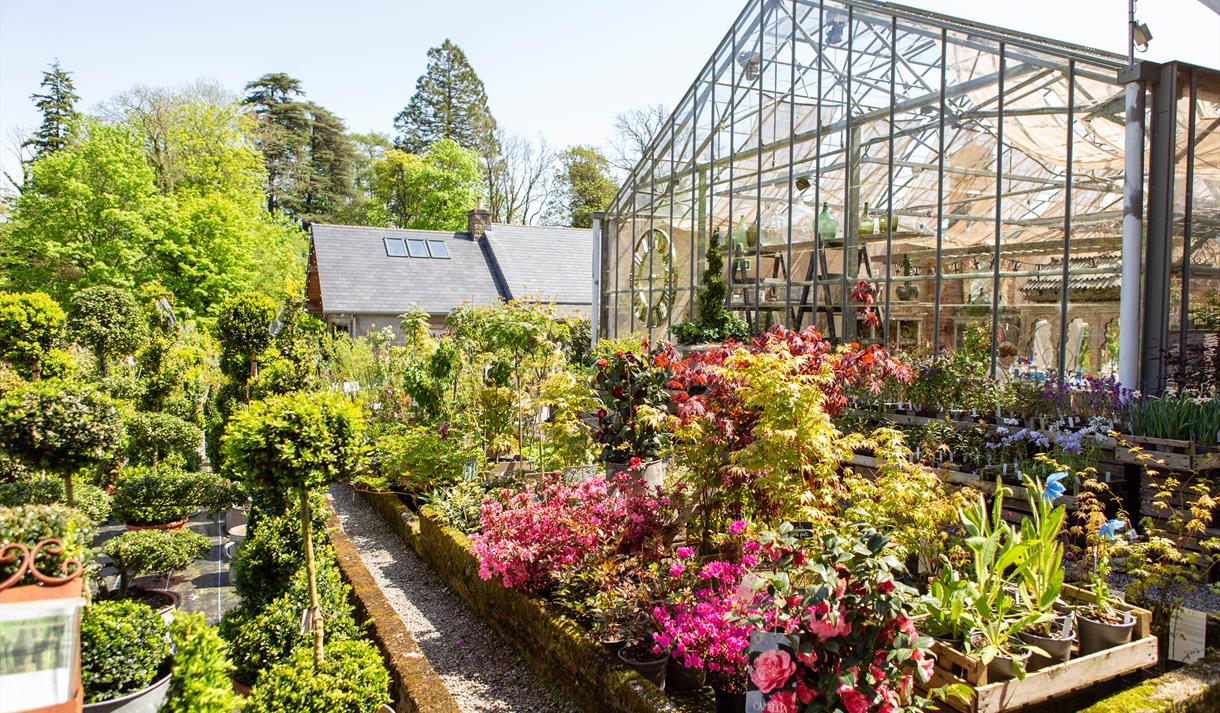 Flower selection in The Glass House