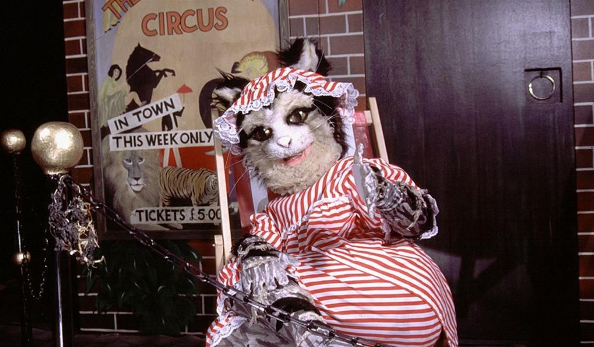 Summer Outdoor Theatre: Martha The Cat's Great Big Adventure